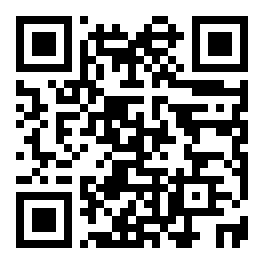 Ideal Quartz technical QR code
